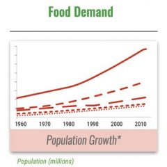 Food demand